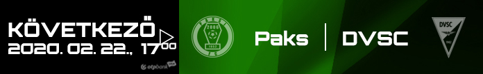 banner_dvs.jpg