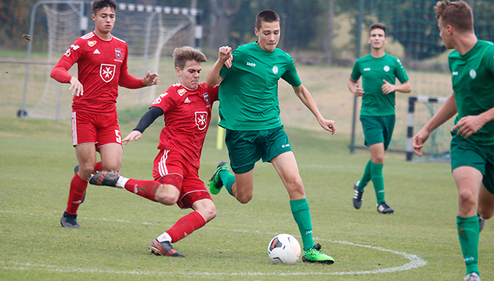 u19fe20b.jpg