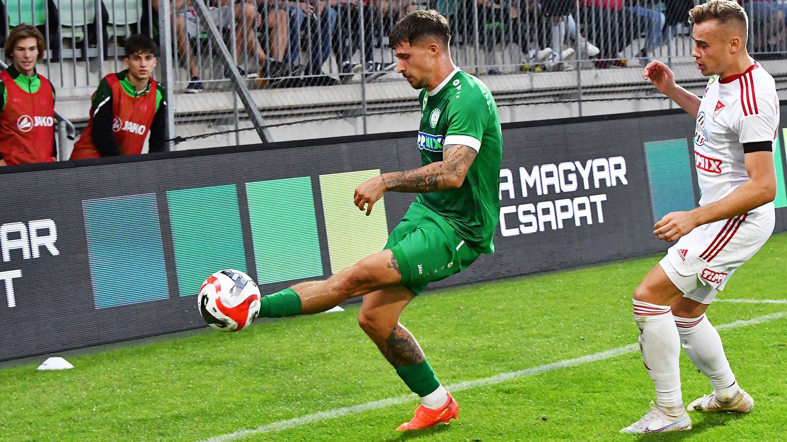 Silymutpipa Silymutpipa