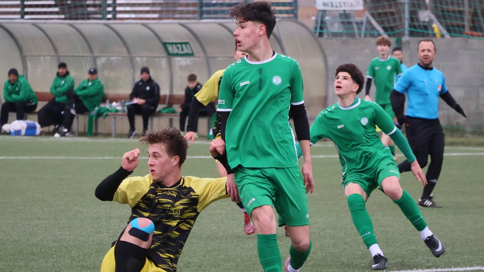 u15_1.jpg
