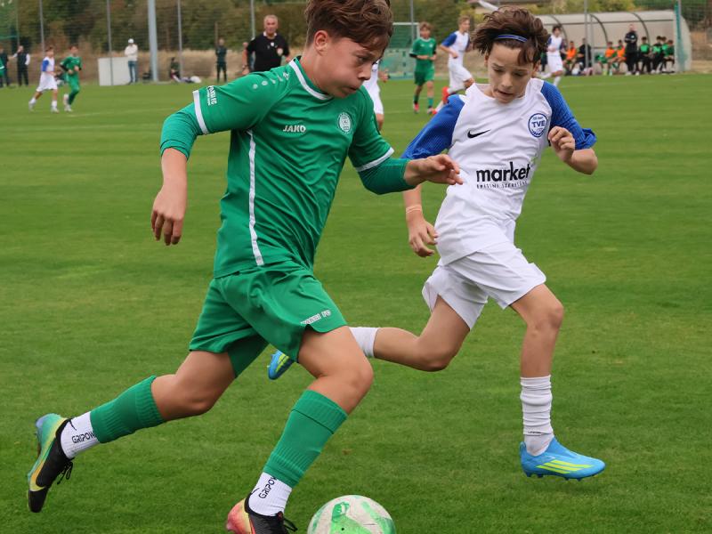 u14.2.jpg